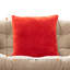 Coussin décoratif-99968254-99968253