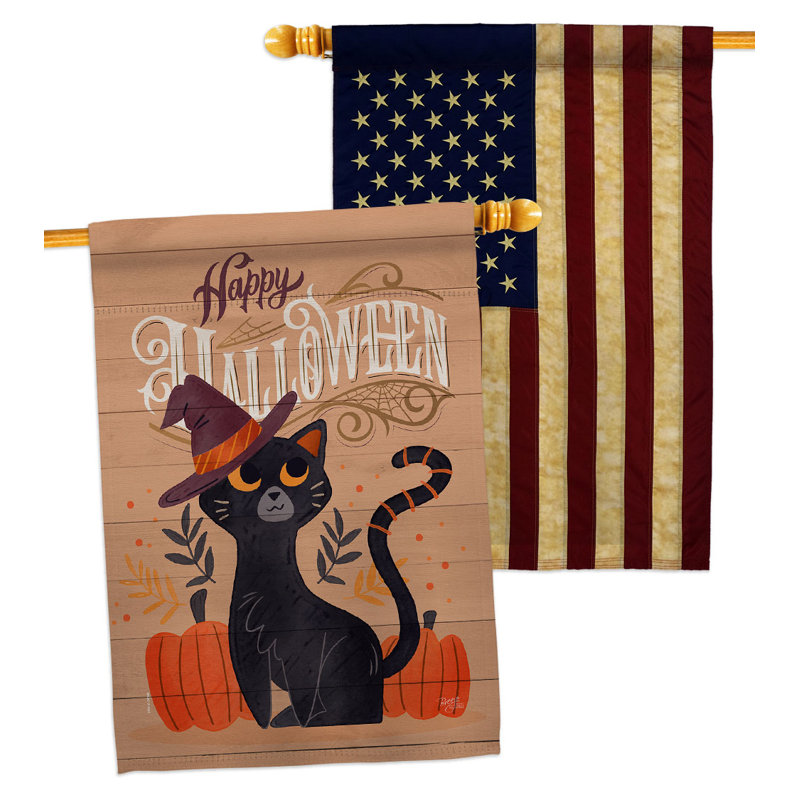 Drapeau de maison 40 po x 28 po Witchy Cat
