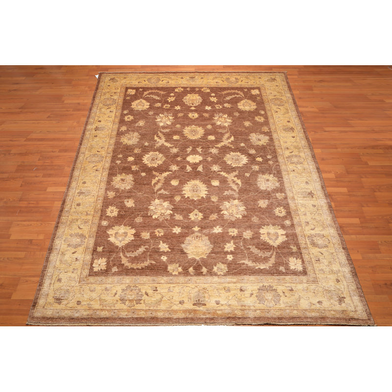 Tapis en laine dorée/brune 8 pi 9 po x 12 pi 2 po one-of-kind à la main noué la Barahona
