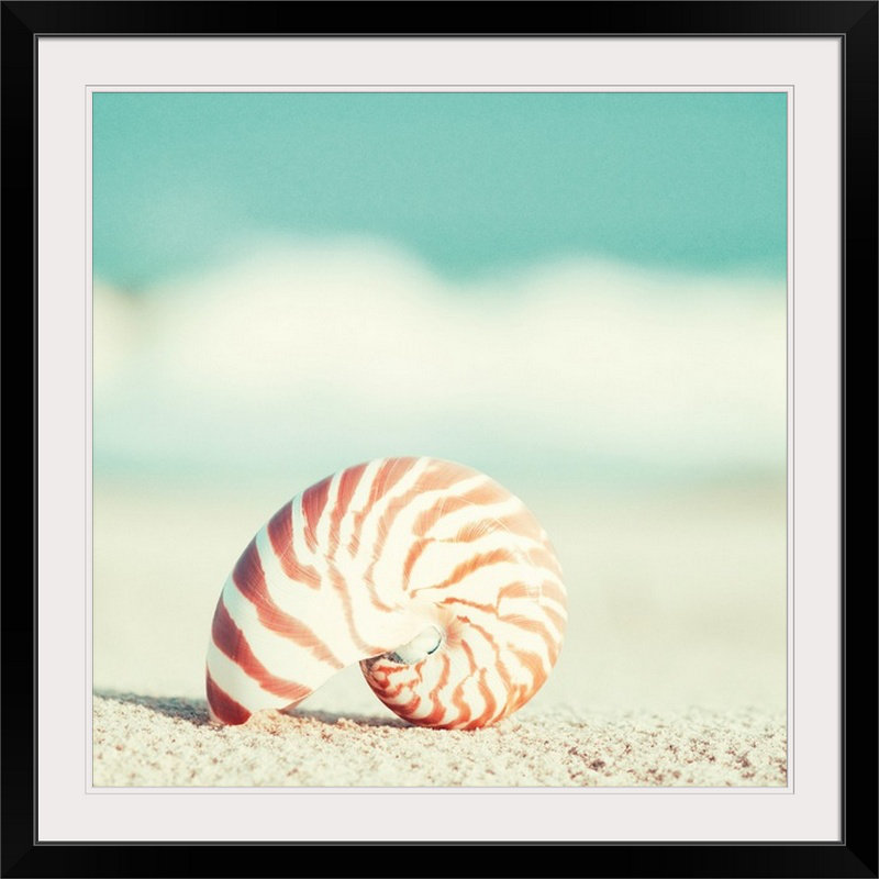 Matta " Nautilus " by Carolyn Cochrane, 35" H x 35" W x 1.5" D, Canvas