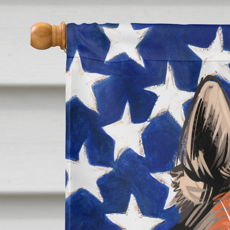 Polyester à 2 côtés 28 x 40 po drapeau maison, Chien-loup tchécoslovaque
