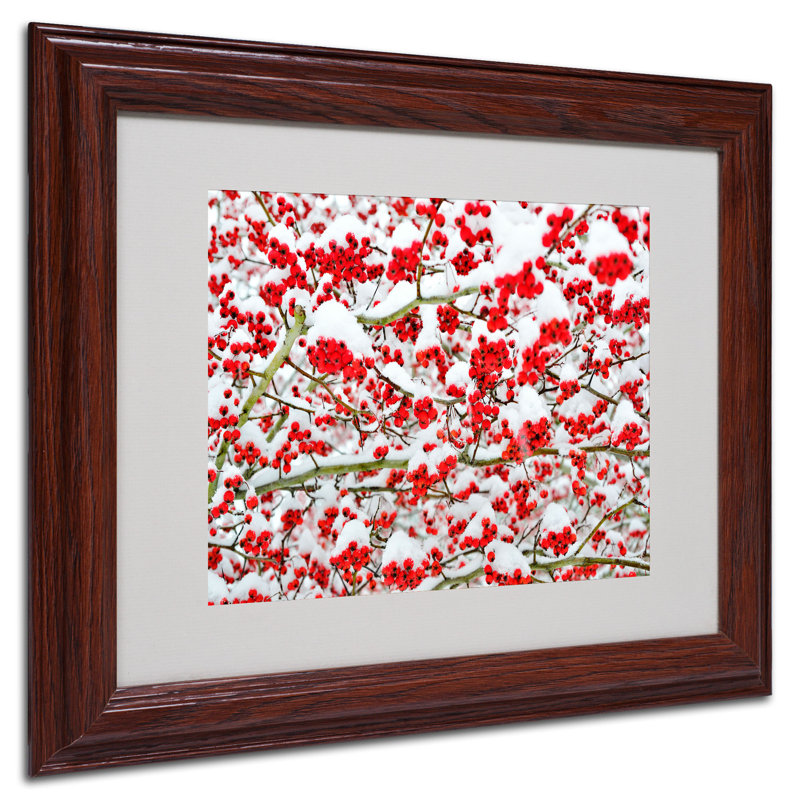 « winter baies in the snow », reproduction de photo sur toile encadrée, Brun, H 11 po x l 14 po x P 0,5 po