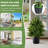 22'' Faux Cedar Topiary in Pot