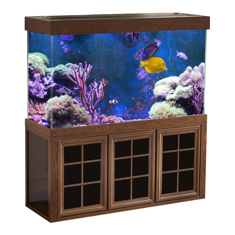 Réservoir d'aquarium 50 gallons, Noir / or, 135 gallons (H 51 po x l 14 po x P 24 po)