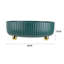 Plastic Tray-1965485053