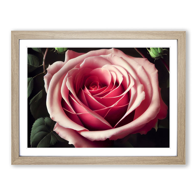 Sparkling Rose Flower - Framed Print, 46cm H x 64cm W x 2cm D, Oak