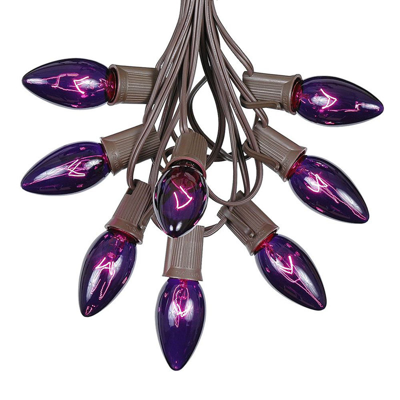 Fantaisie 25 pi pour l’extérieur 25 lumières Socorro, Brun, Mauve