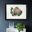 Protea N70, reproduction encadrée de qualité supérieure - prête à être accrochée-351619405-351619407