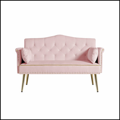 Stylish Pink 2-Seater Sofa with Button-Trimmed Design and Soft Velvet Fabric for Modern Comfort and Aesthetic Appeal