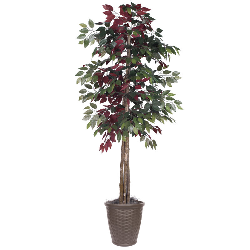 72'' Faux Tree in Pot, Brown