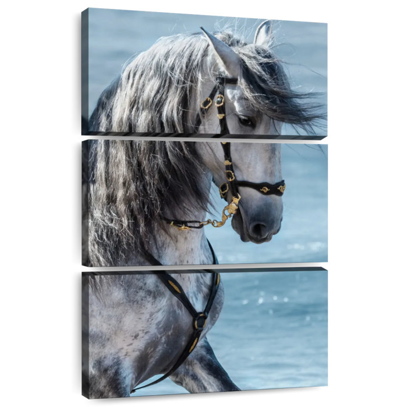 Brampt Equine, 57" H x 36" W