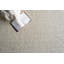 Ferretti Wool Area Rug in Ivory/Silver-497204568