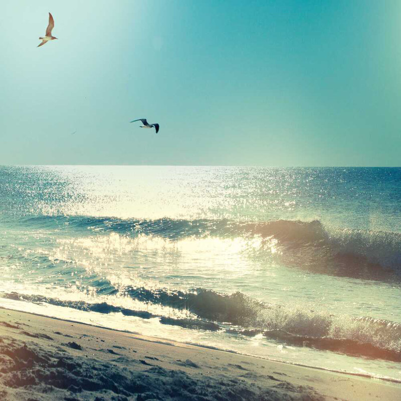 Coastline Waves No Word by Sue Schlabach - Wrapped Canvas Print, 20" H x 20" W x  1.25" D