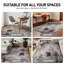 Tapis noir / ivoire / gris Schauer-1733245454