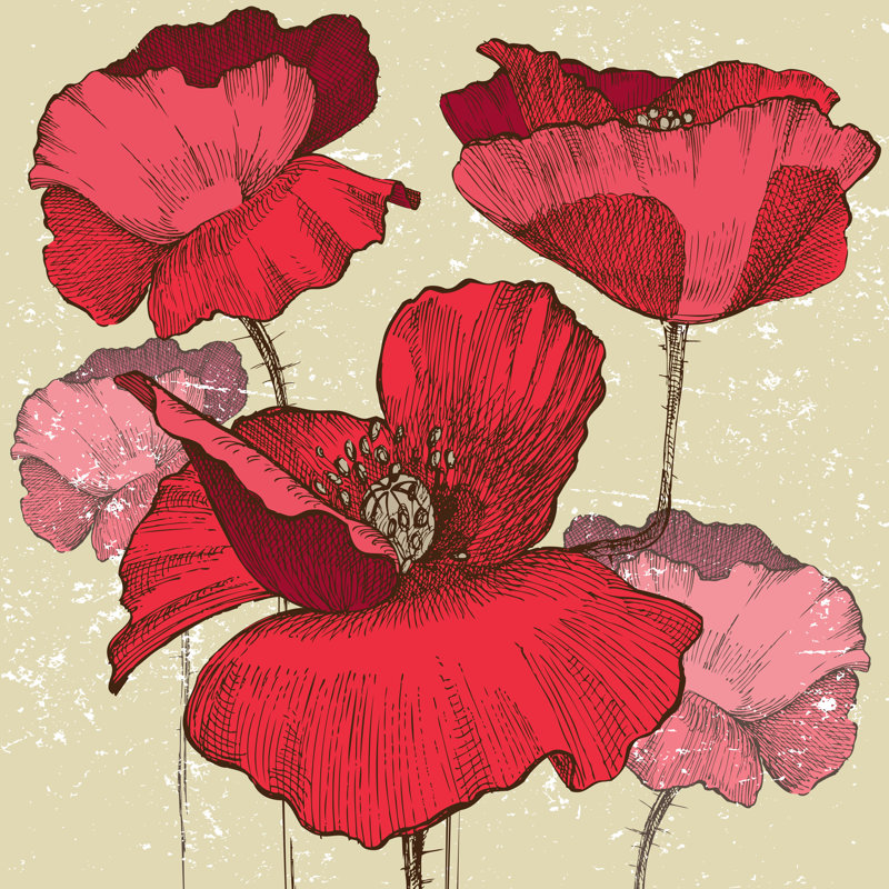Tullahassee Poppy Flowers - Wrapped Canvas Print, 30cm H x 30cm W x 3.8cm D