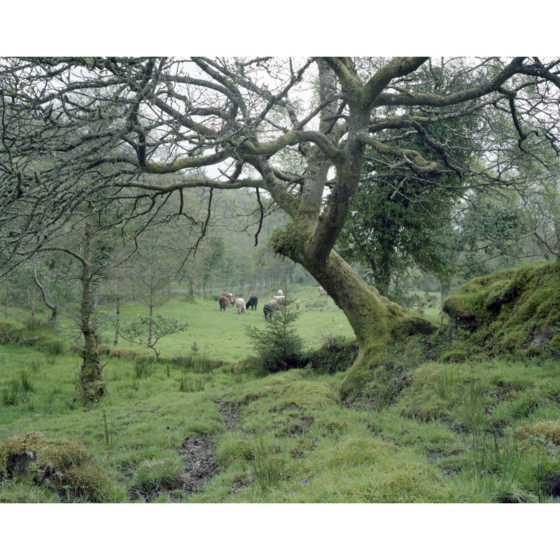 Southern Ireland by Russell Mott, 24" H x 36" W x 0.01" D