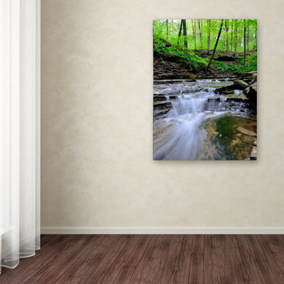« valley stream » par kurt shaffer, reproduction de photo sur toile tendue encadrée