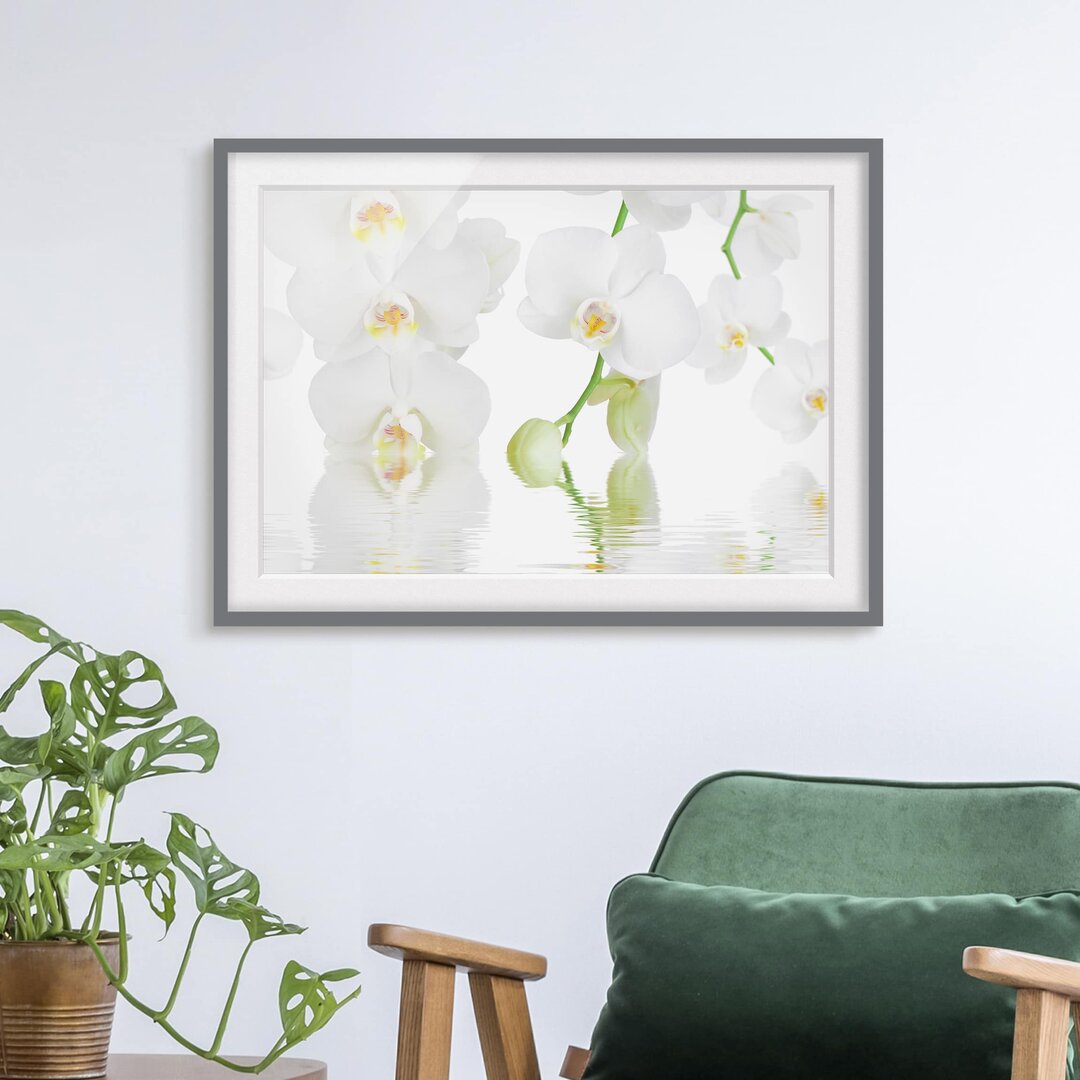 Gerahmtes Papierbild Wellness Orchidee Weiße Orchidee