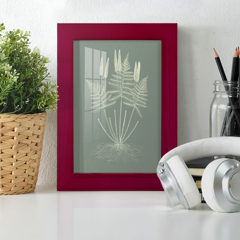 Ferns On Sage VII, encadré sur papier, Rouge, H 6 po x l 4 po x P 1 po