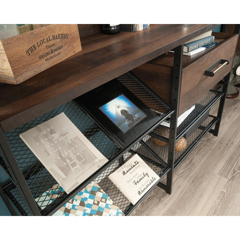 Prochaska Storage Bookcase