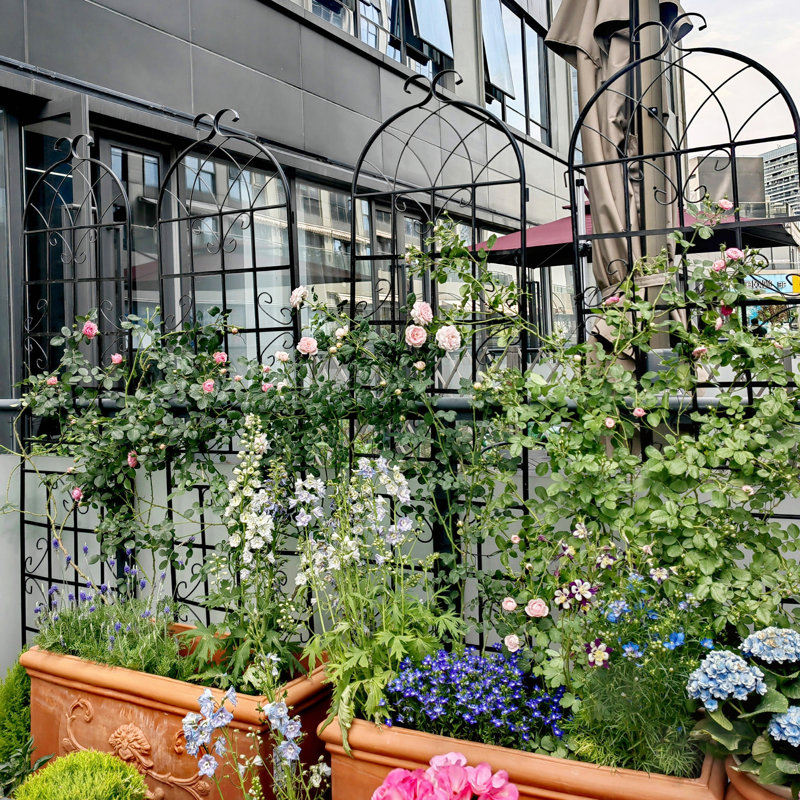 Paquet de 4 treillis de jardin en métal pour plantes grimpantes, support de fleurs extérieur antirouille et durable