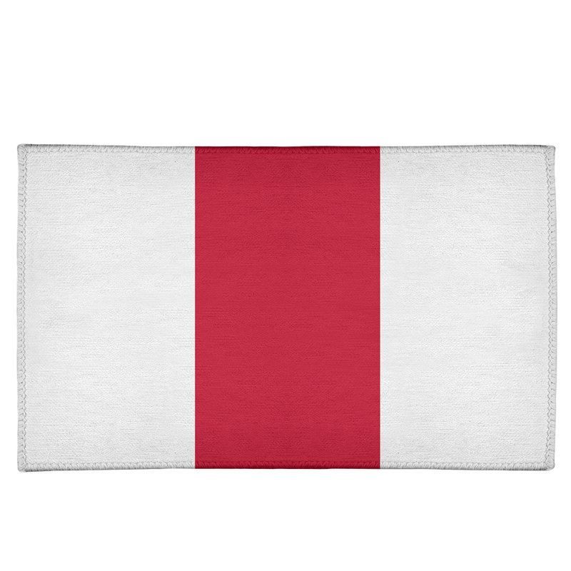 Chenille Indoor Rug, Rectangle 2' x 3'