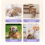Escalier pour animaux de compagnie-1423216796
