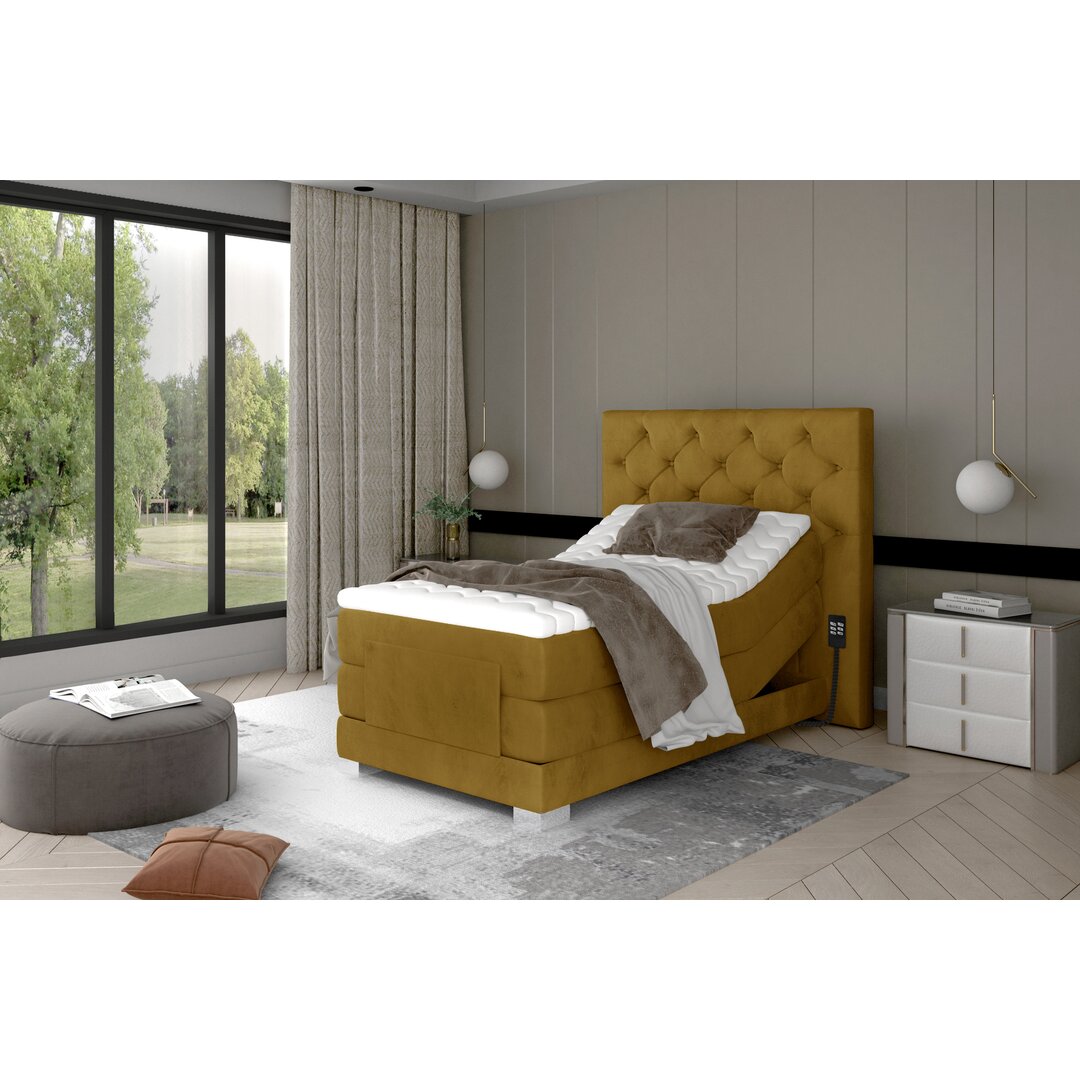 Elektrisch verstellbares Boxspringbett Niantic mit Topper