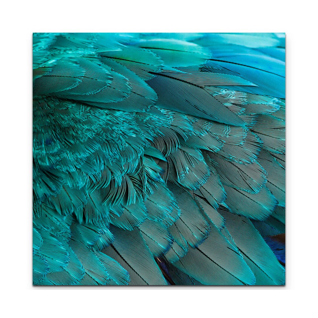 Leinwandbild Macaw Plumage