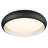 Close To Ceiling Lights-1083039969