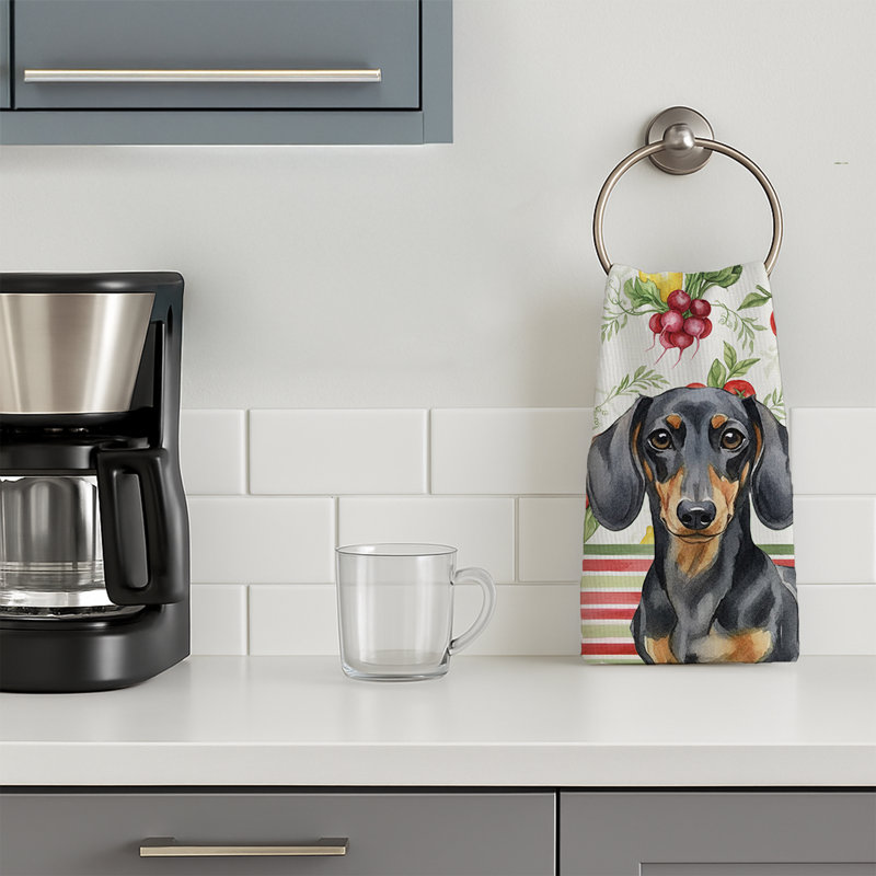 Torchon noir et brun clair teckel, Black/Tan Dachshund
