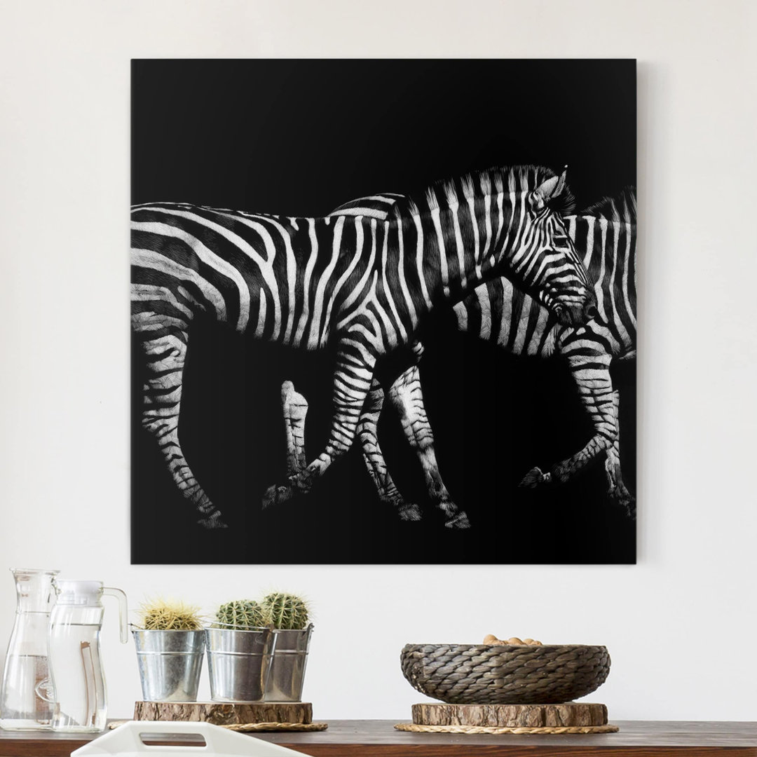 Leinwandbild Zebra vor Schwarz