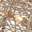 The Holiday Aisle® Fawn with Doe with LED Lights