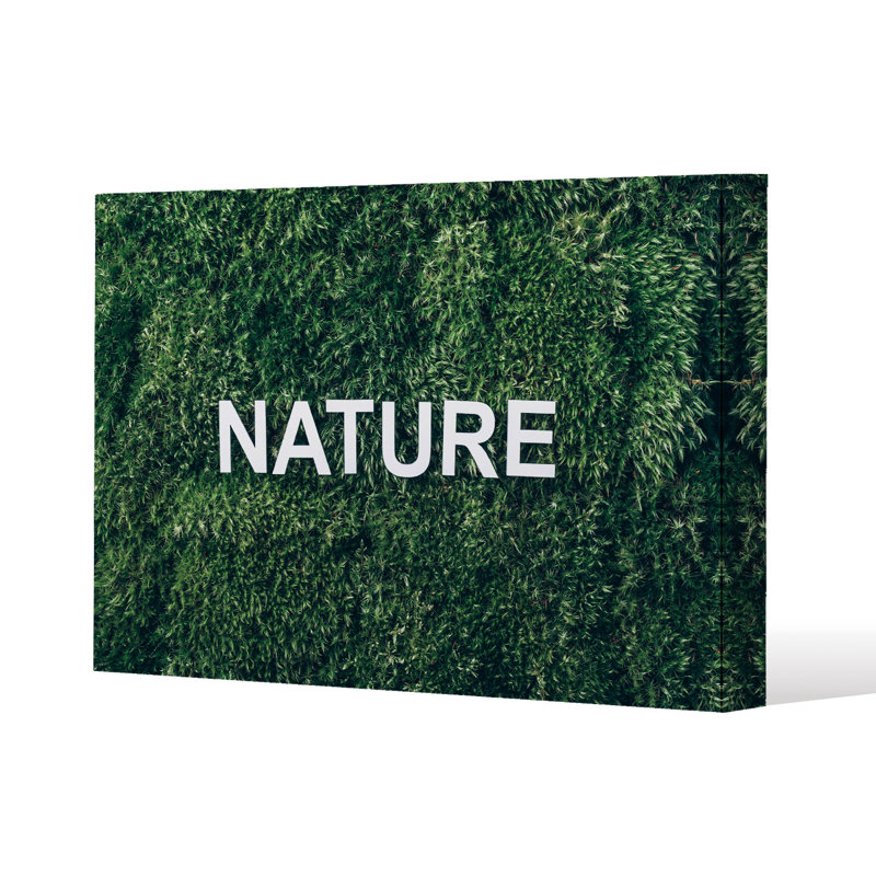 No Title by Andrew Lee - Wrapped Canvas Print