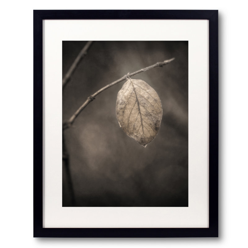 Holding On by Scott Norris, Black Framed Paper, 20" H x 16" W