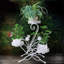Bonelli Plant Stand-1506272220
