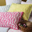 100% Cotton - Set of 2-2129616366-2129616374