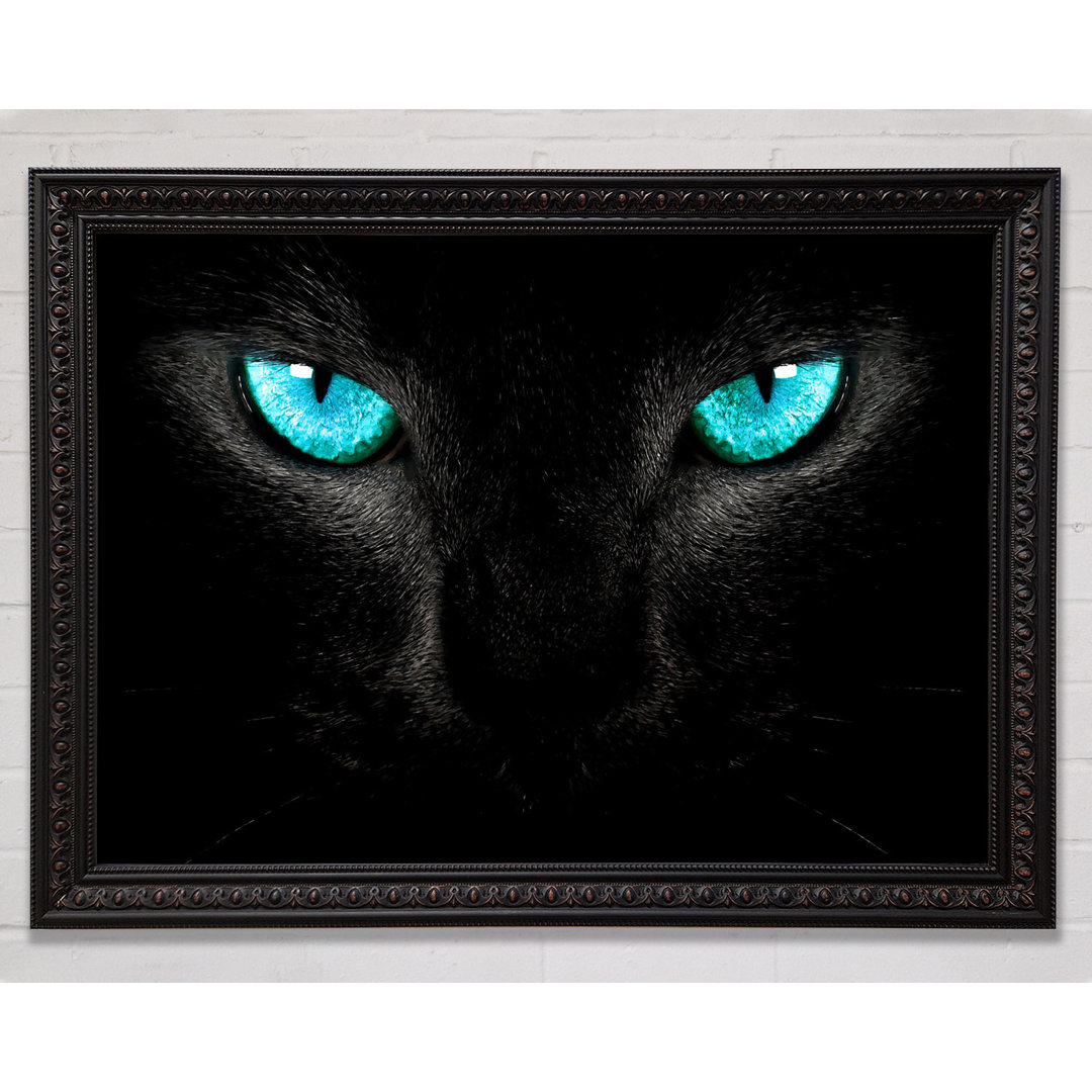 Blue Eyes Cat - Einzelne Bilderrahmen Kunstdrucke