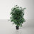 48'' Faux Ficus Tree in Pot