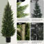 Cèdre artificiel dans un pot, faux arbre-1219485044
