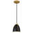 Oakton 1 Light Pendant