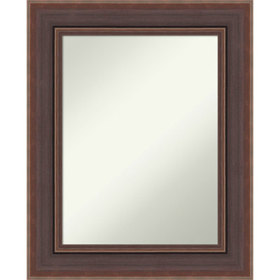 Moab Brown Bronze Non-Beveled Framed Wall Mirror