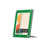 Vert Kelly / argent est en rupture de stock