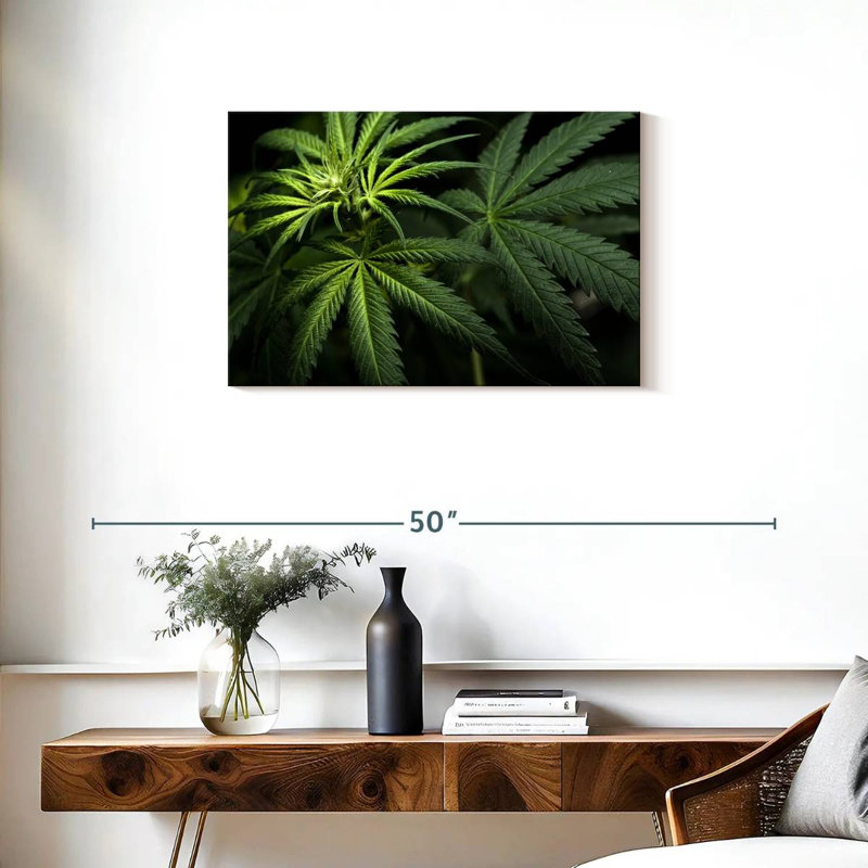 Cannabi dans le noir, H 20 po x l 30 po