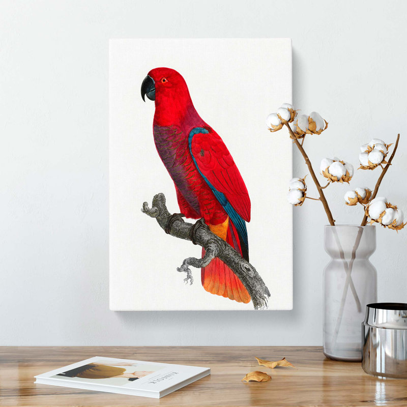 An Eclectus Parrot by F. Levaillant - Wrapped Canvas Painting Pint - Wrapped Canvas, 60cm H x 40cm W x 3cm D