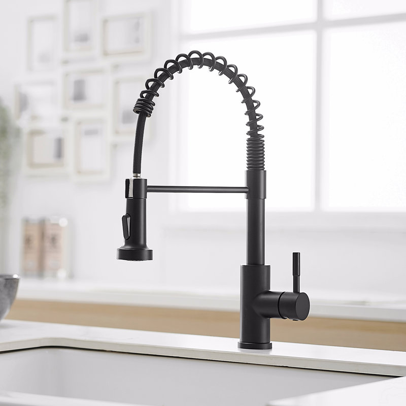 Robinet de cuisine avec douchette rétractable en acier inoxydable à poignée simple et évier à ressort, Noir