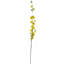 Artificial Arrangement-106401583