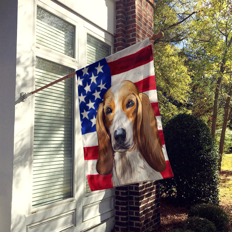 Polyester à 2 côtés 28 x 40 po drapeau maison, Chien Fino colombien