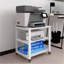 3 Tier Plant Stand