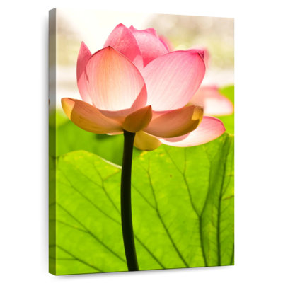 Harnek Bright Lotus Flower